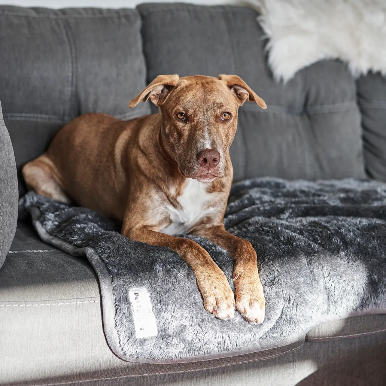 Pawtect® Blanket - Soft & Cozy Waterproof Blanket