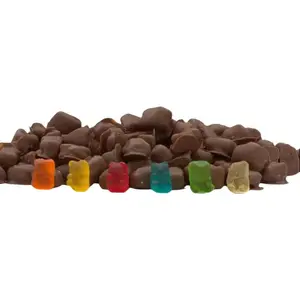 Chocolate Covered Gummy Bears