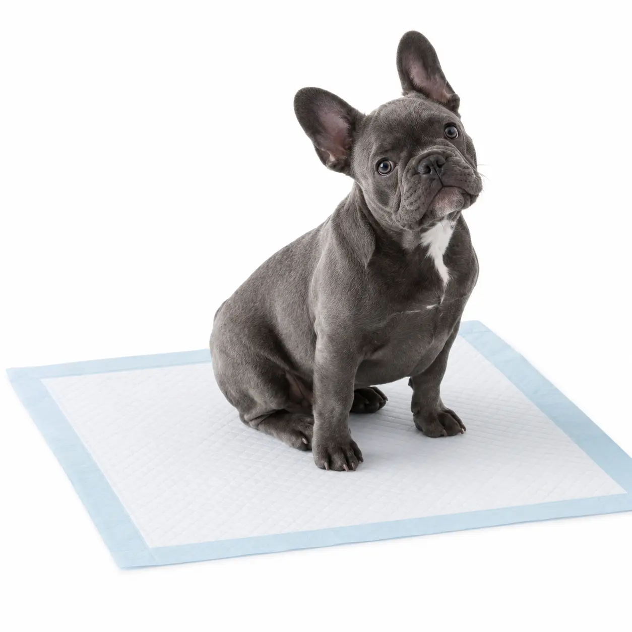 Diaper Training Pads