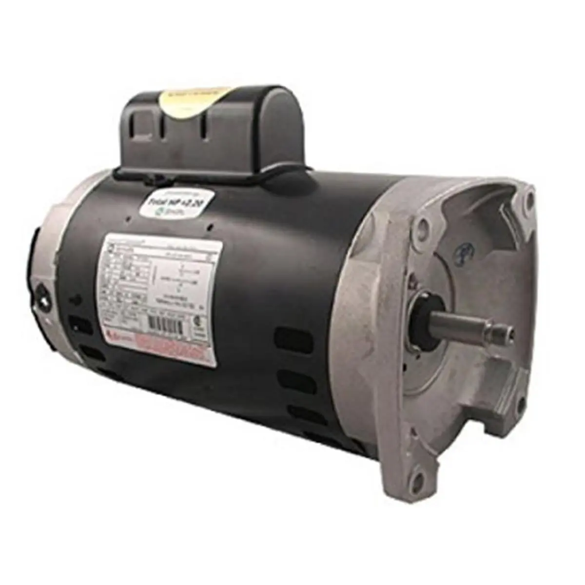Regal Beloit America Epc Square Flange 230V Energy-Efficient Pump Motor for Aquatic Fitness Equipment
