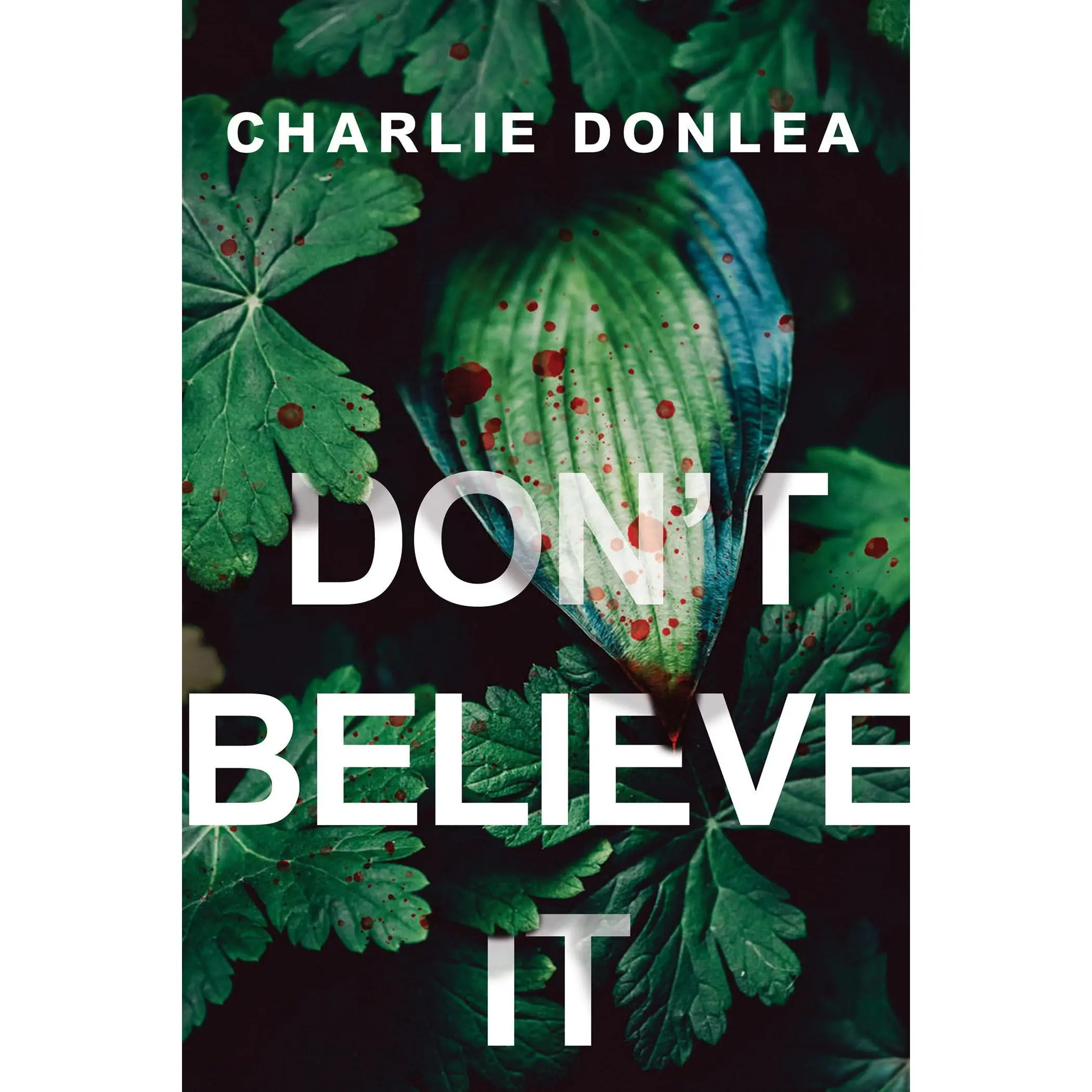 Don't Believe It -- Charlie Donlea - Paperback