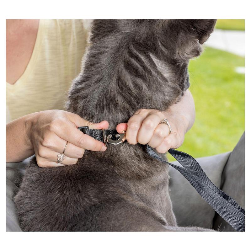 Paw Brands PupProtector Memory Foam Double Seat Dog Car Bed