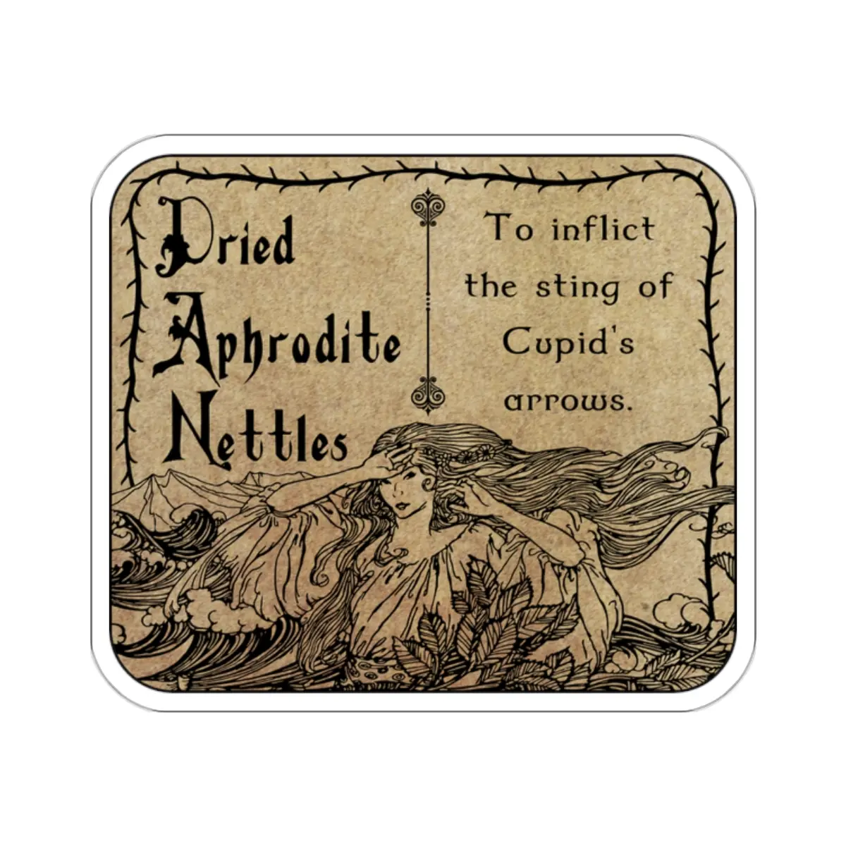 Dried Aphrodite Nettles Apothecary Label