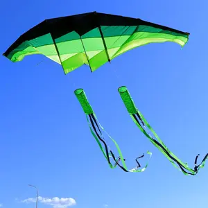 Huge 3D Adult Gliders Kite, 120" in Giant Single Line Kites with Two 17ft 3D Tails, Large Beach Kite for Adults7