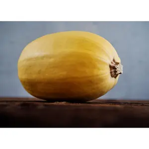 Spaghetti - Organic Winter Squash Seeds
