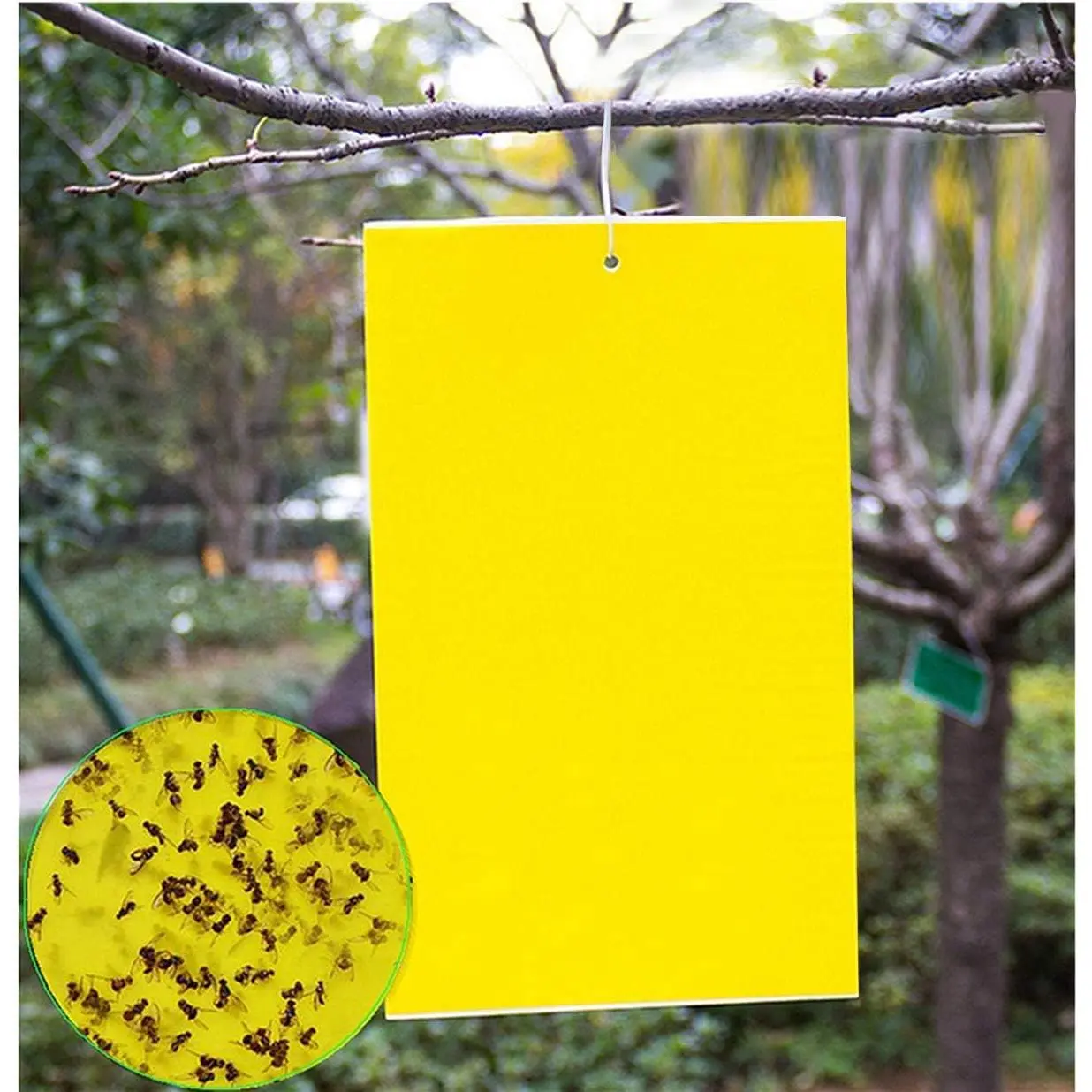 20 PCS/30 PCS/50 PCS Self Adhesive Strong Board, Chemical-Free Home Care Supply for Moth Proof, Mold Prevention & Damp Control, Multiple Packs Home Care Solution