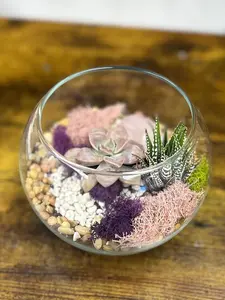 DIY Olivia Rose quartz Crystal Planter Kit,Terrarium Kit,DIY Succulent Garden, crystal terrarium, Mother’s Day , birthday gift, rose quartz,