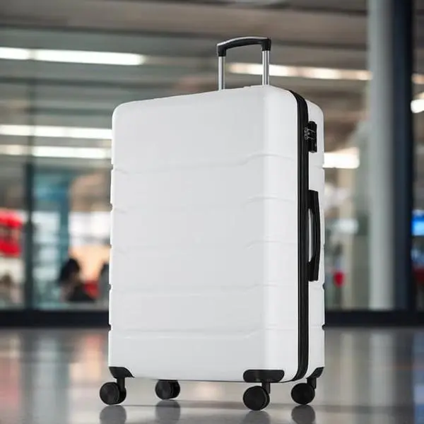 GIANNA 24-Inch Hardside Checked Luggage - Expandable Rolling Luggage with TSA Lock and Spinner Wheels