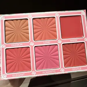 New 6-color Desert Rose Blush Palette, New Multi-color Best-Selling Women's Makeup Eyeshadow and Foundation Palette