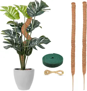 Moss Pole Plant Support 2 Pack - Vertical Growth for Monstera, Pothos, Philodendrons & Climbing Indoor Plants - 28 Inches Long