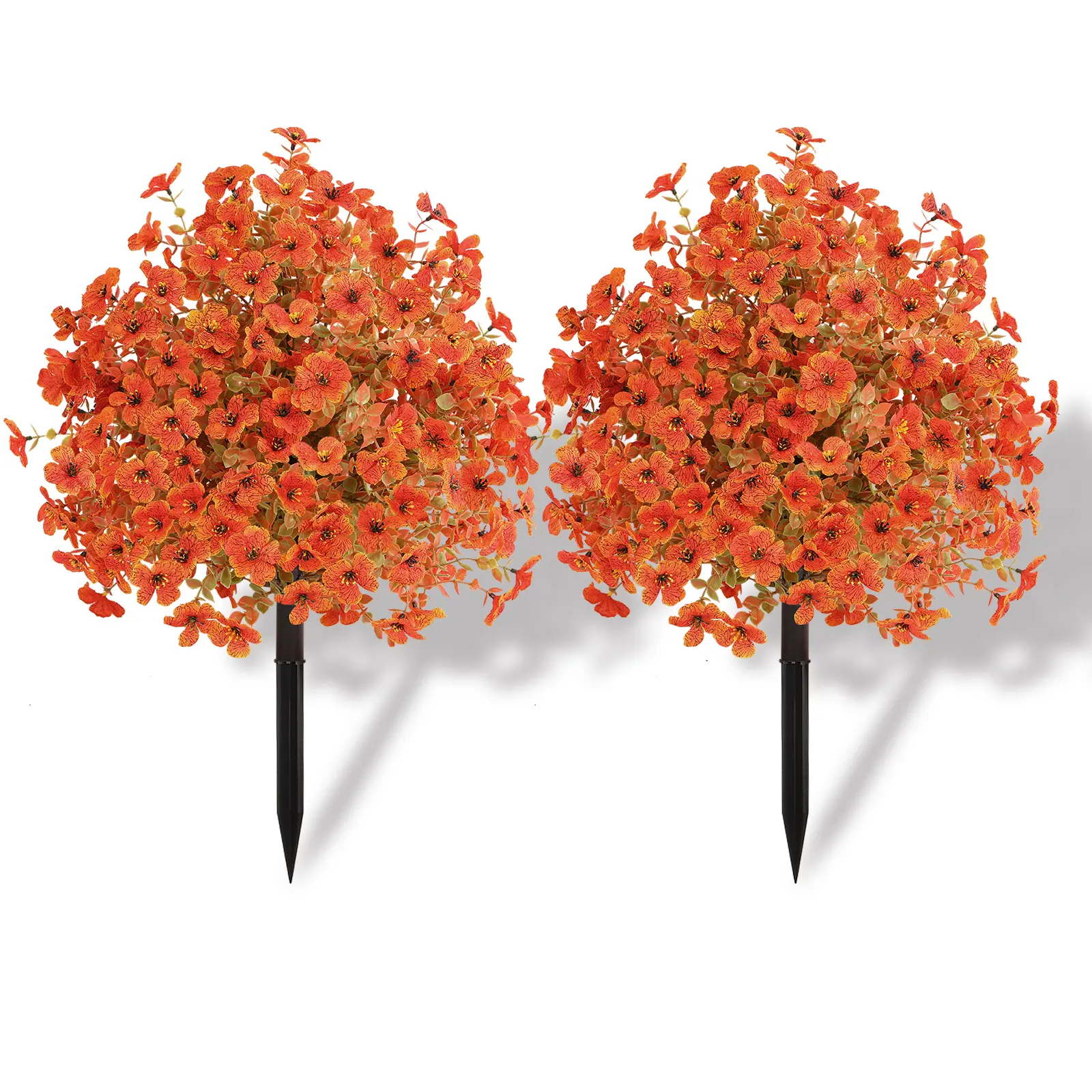 Ground-planted violet -2pcs