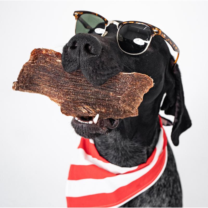 4 Bag Jerky Box for Dogs - Single Ingredient Each, 100% USA Made Chicken, Beef, Pork or Turkey Jerky, All-Natural, Human-Grade Healthy Snack, Includes (4) 6oz Bags, good for all breeds, picky/allergic dogs favorite Treat, Only at Simple Dog Café