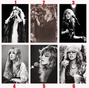 Stevie Nicks Vintage Live Performance Black White Music Poster