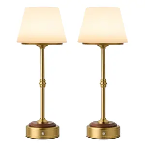 HANASS Cordless Table Lamp, 5000mAh Rechargeable Battery Powered Lighting, Dimmable Light for Bedroom, Bedside, Bar, Dinning room, Night Light, Home, Vintage Design, Interior Lighting
