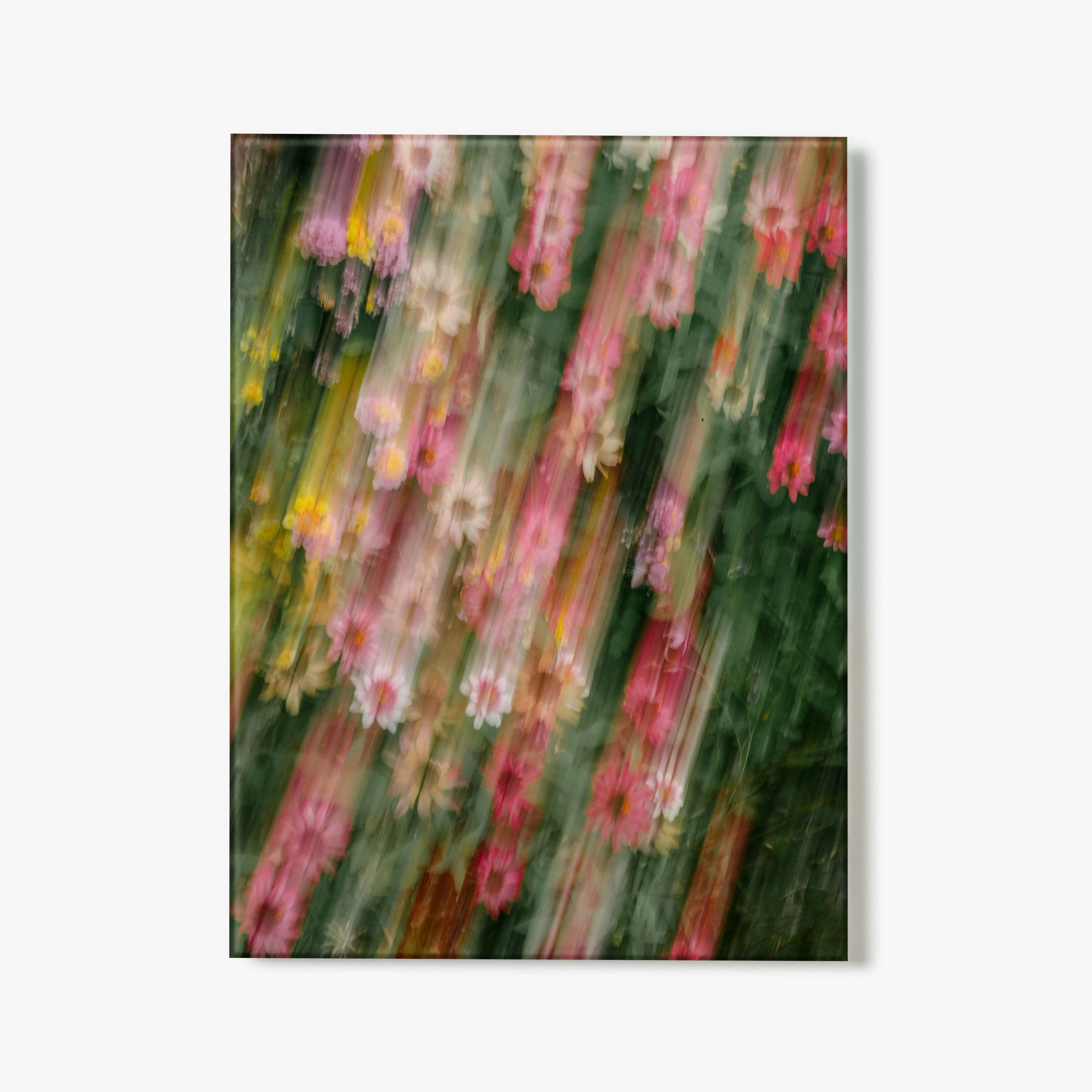 Pink Haze - Glass Print
