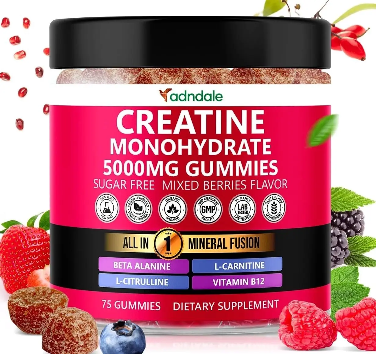 Adndale Creatine Gummies for Women & Men, 5000mg per Serving Creatine Monohydrate Supplement with Beta-Alanine, L-Citrulline & B12-75 Vegan Gummies. Sugar-Free
