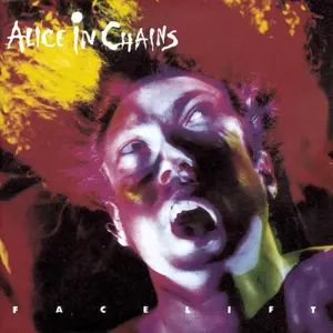 Alice in Chains - Facelift  [COMPACT DISC - CD]