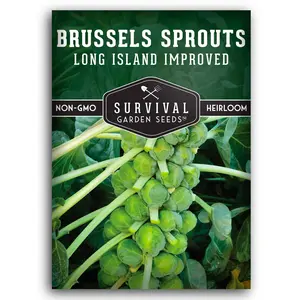 Long Island Improved Brussels Sprout Seeds – Heirloom Favorite