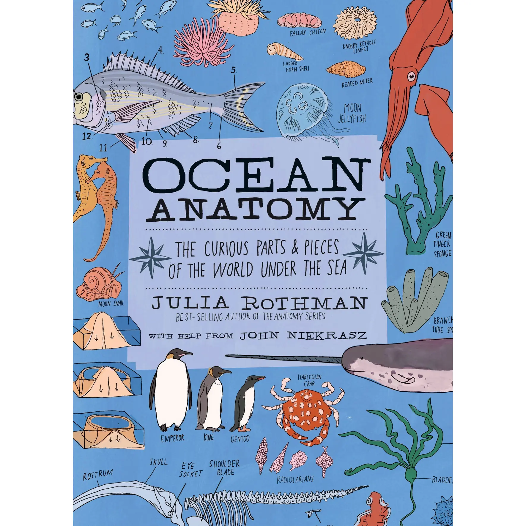 Ocean Anatomy by Julia Rothman, John Niekrasz [Paperback Book]
