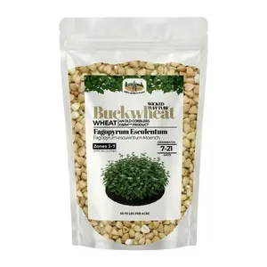 OlOld Cobblers Farm Wicked Tuff Turf Buckwheat (Other Forages) (5 lbs | 10 lbs | 15 lbs | 20 lbs)