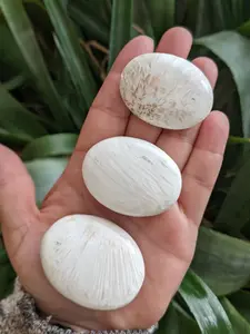 White Scolecite Palm Stones Large Polished Massage Therapy Rock Healing Crystal Mineral Specimen Natural Stone Meditation Pocket Pebbles