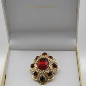 Charter Club Gold-Tone Red Stone Infinity Pin