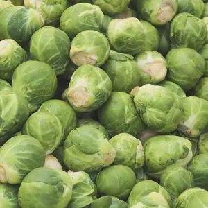 Heirloom Long Island Improved Brussels Sprouts Seeds - Organic and Regenerative Gardening Seeds