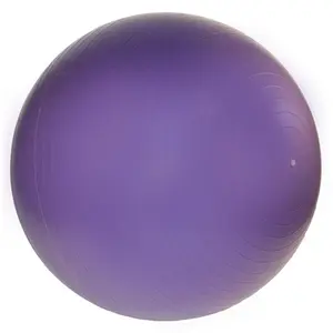 J Fit  Professional Exercise Ball 65cm - Purple