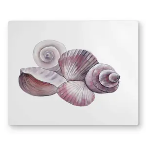 Begin Home Decor C1MP16202W0OUQ 16 x 20 in. Seaside Shells - Coastal Pink Metal Print Wall Art for Home Decor