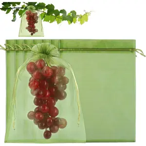 100 count Fruit Protection Bags, 8x12 Inch Green Grape Netting Cover Drawstring Mesh Bags Pest Barrier for Fruit Trees Flower