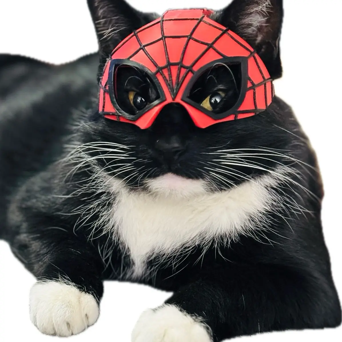Spider Cat Mask - Costume Accessory Spider Cat Mask - Costume Accessory