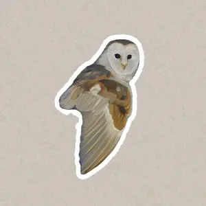 Owl Sticker + Vinyl Decal - Original Design, Water Resistant, Ideal for DIY Projects, Versatile Decoration for Laptops & Scrapbooking