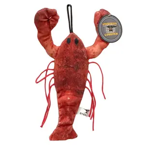 212 MAIN Iron Cat 54322 Cloth Body Lobster Shape Cat Toy - Play Stimulant with Hidden Pocket, Scented Pouch