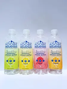 Adobe Mountain Sparkling Mineral Spring Water Variety Pack 12-Pack, 3 Each of Lime, Lemon, Berry, Orange, Natural Magnesium, Zero Sugar, Clean Refreshing Flavor