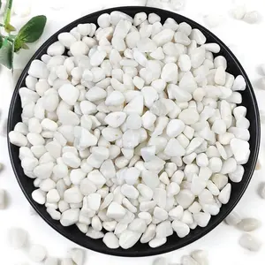 5LB Succulent and Cactus Gravel , 3/8 Inch  Decorative Polished Stones, River Rocks for , Vases, Aquariums, Terrarium and Outdoor Gardening, White