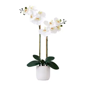 Nearly Natural 26" Real Touch Double Orchid Phalaenopsis