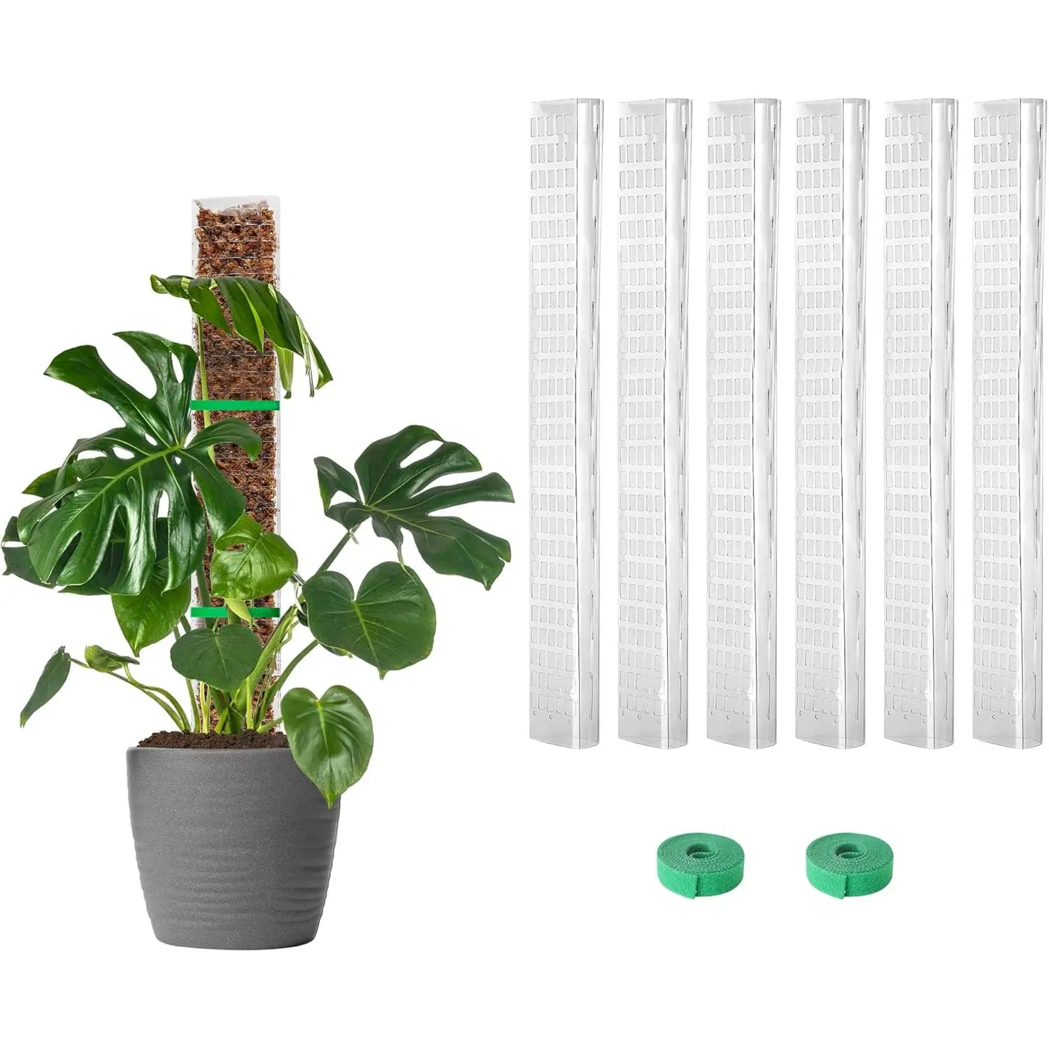 6 count 24 Inch Plastic Moss Pole for Monstera, Large D Shaped Poles for Climbing  Work with Sphagnum Moss, 135 Inch  Stake Set of 6, Garden Ties