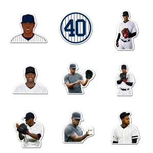 Luis Severino Sticker Pack 9 PCS Vinyl, Sport Car Wall Kid Phone Book Stickers, Funny Sticker Decal Decor