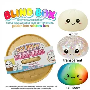 Big Dumpling Squishy,  Fidget Toy, Soft Squishy Silicone, Stress Relief, Unboxing Surprise, Random Style per Pack,  Easter Gifts, Children to Exchange Gifts