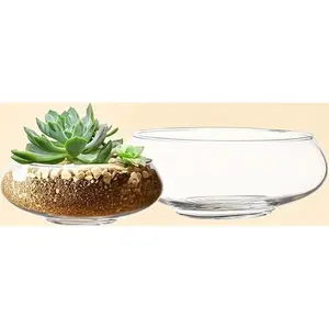Clear Round Glass Vase Set of 2 – Decorative Bowls for Flowers, Terrariums, Succulent Planters, Bubble Vases, Floral Decor Centerpieces – Elegant Glass Containers for Home or Wedding Décor – Reusable, Versatile, Modern Design