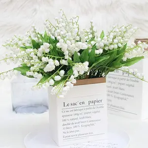 GARDEN 500+ Lily of The Valley Seeds, Blue May Bells, Our Lady's Tears, Mary's Tears, Muguet, Glovewort, Apollinaris Seeds - Fragrant Perennial Herb Flower