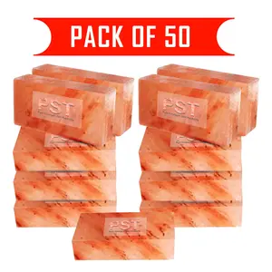 Himalayan Salt Bricks Wholesale Pack of 50 - Bulk Pink Salt Bricks