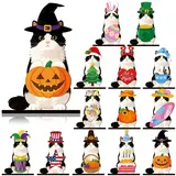 Gejoy Cat Sign Christmas Gift Interchangeable Sign Cat Desk Decor Cute Cat Ornaments Wooden Sign Pet Decor with Magnet Detachable Hats for Halloween Fall Pumpkin Thanksgiving Christmas Holiday Party, Gift for Pet Owning Families and Cat Lovers