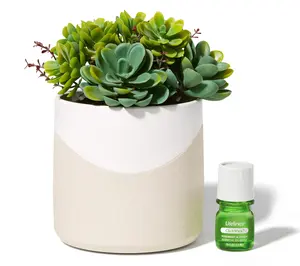 Lifelines Rechargeable Fauxe Plant Aroma Diffuser Lifelines Rechargeable Fauxe Plant Aroma Diffuser