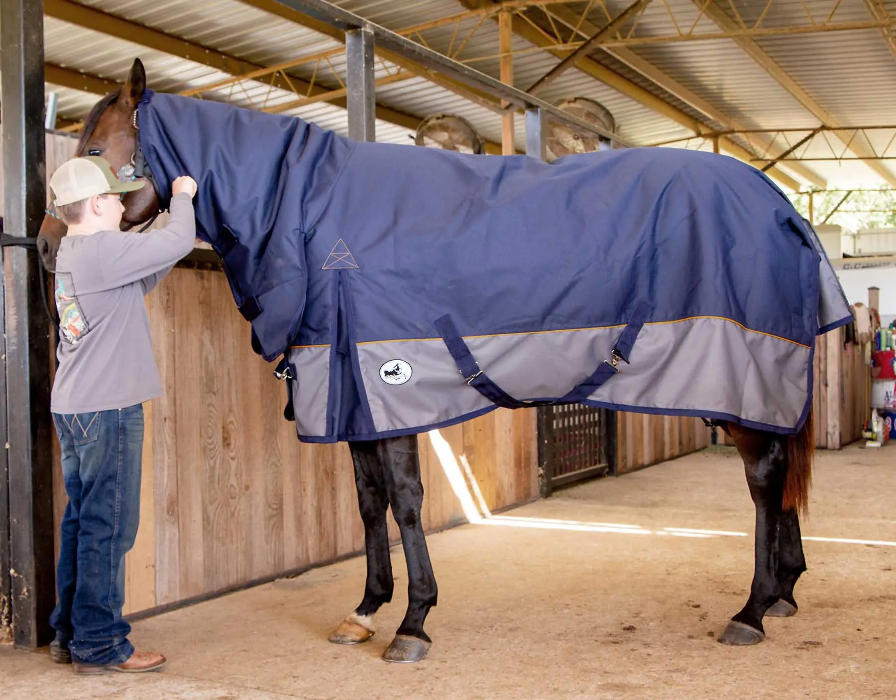 Jeffers Economy Plus 1200 Denier Combo Neck Medium Weight Horse Turnout Blanket, 240 grams Jeffers Economy Plus 1200 Denier Combo Neck Medium Weight Horse Turnout Blanket, 240 grams
