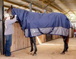 Jeffers Economy Plus 1200 Denier Combo Neck Medium Weight Horse Turnout Blanket, 240 grams