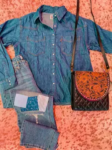 Dally Levi’s Denim Pearl Snap