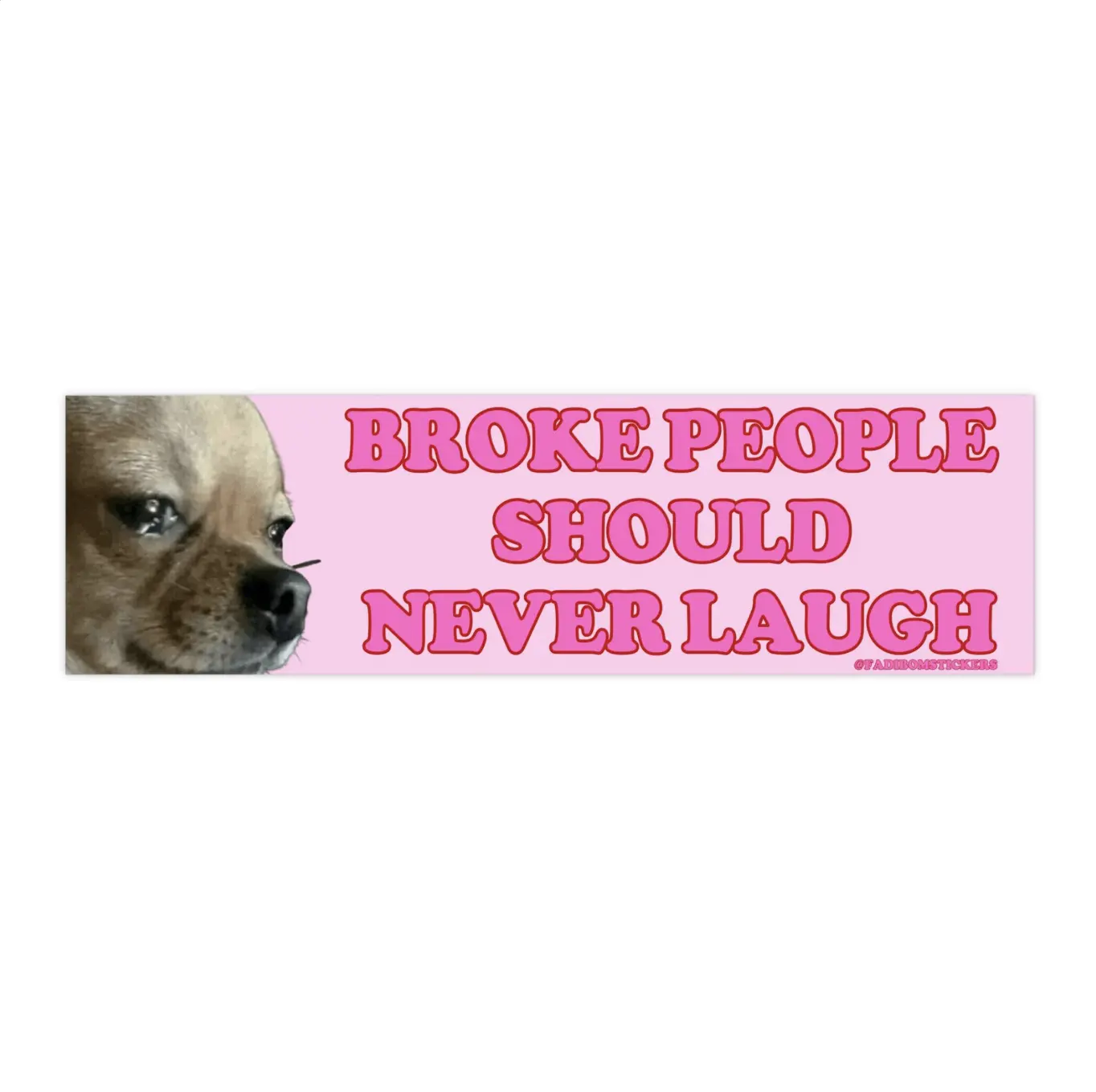 Broke People Should Never Laugh | Bumper Sticker AND Magnet | Funny Meme Sticker | 8.7'' X 2.7'' | Waterproof Premium Quality