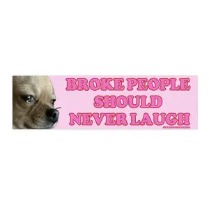 Broke People Should Never Laugh | Bumper Sticker AND Magnet | Funny Meme Sticker | 8.7'' X 2.7'' | Waterproof Premium Quality