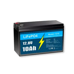 12V 10Ah Lithium LiFePO4 Deep Cycle Battery, 3000+ Cycles Rechargeable Battery for Solar and Wind Power, Fish Finder, Lighting, Power Wheel, Ride-on Toy, UPS, Scooter and More, Built-in 10A BMS
